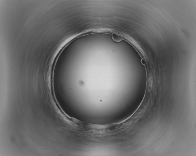 X0000113000959200909031251