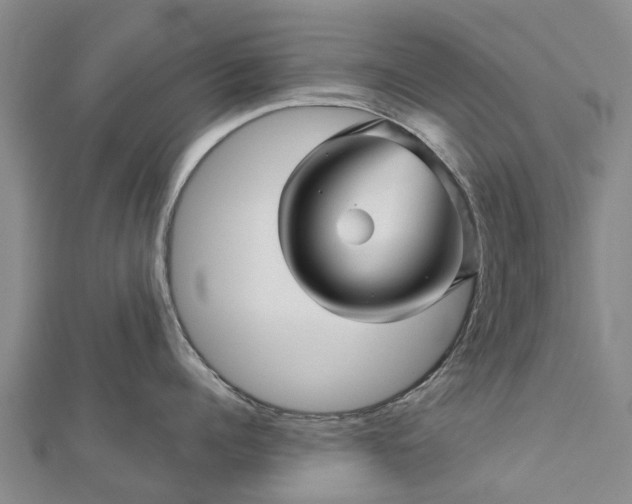 X0000113000960200909031251