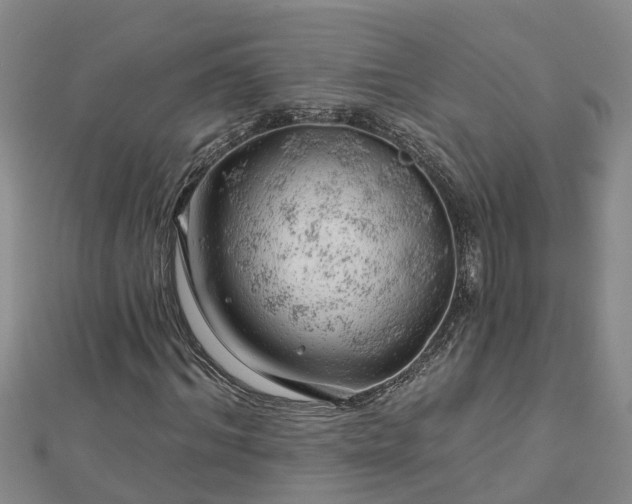 X0000113000964200909031250