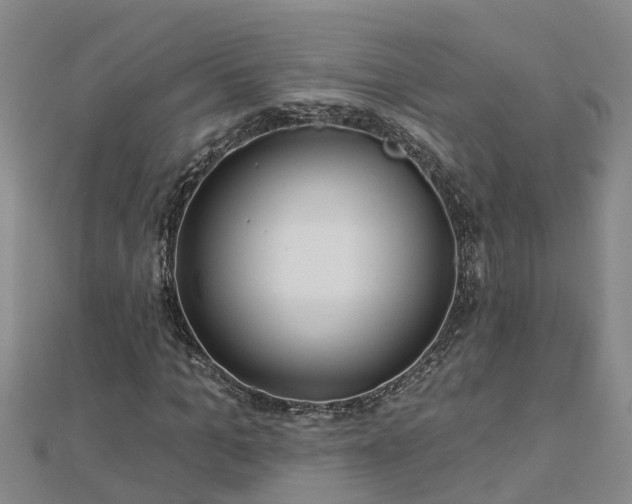 X0000113000965200909031250