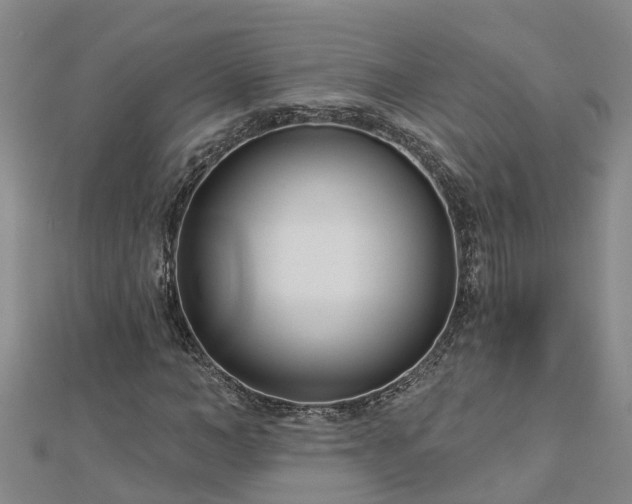 X0000113000966200909031250