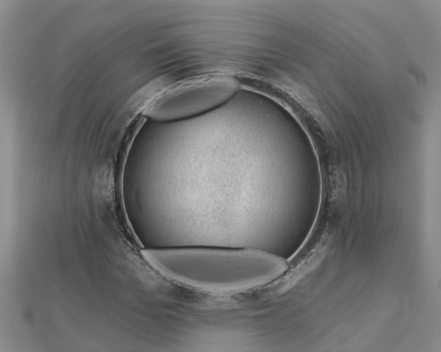 X0000113000969200909031250