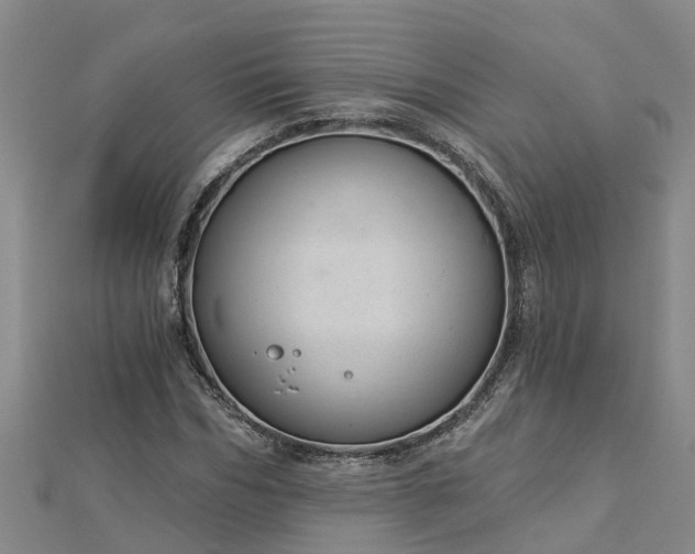 X0000113000970200909031250