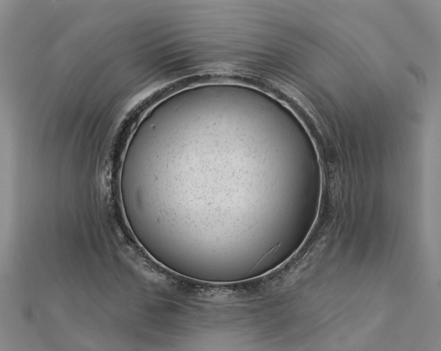 X0000113000971200909031250