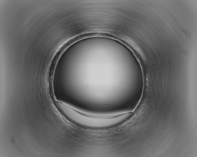 X0000113000972200909031250