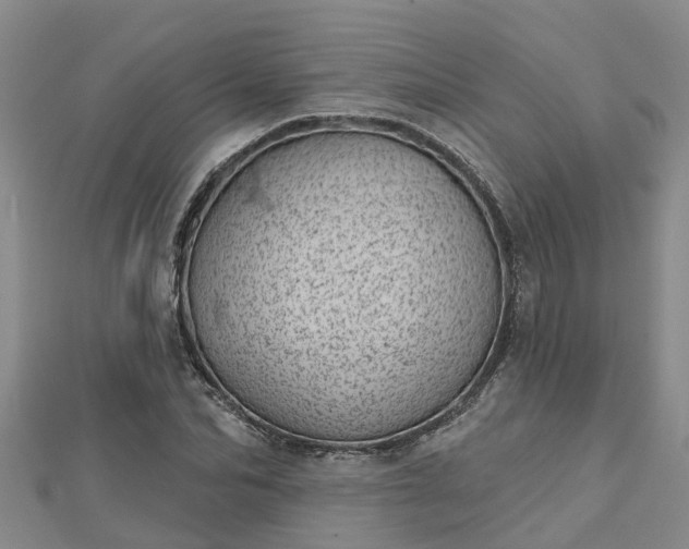 X0000113000974200909031250