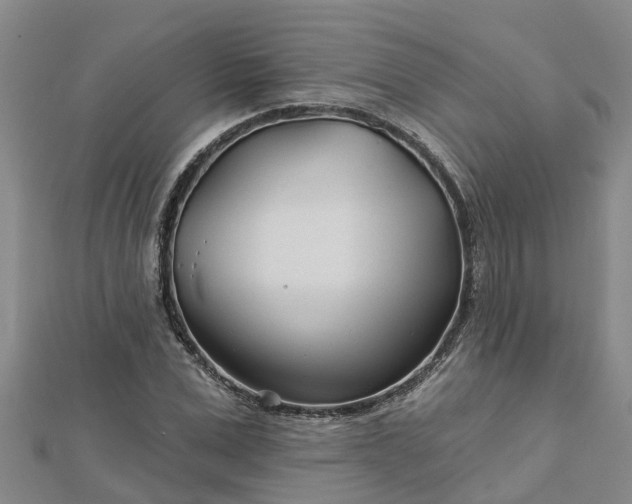 X0000113000975200909031250