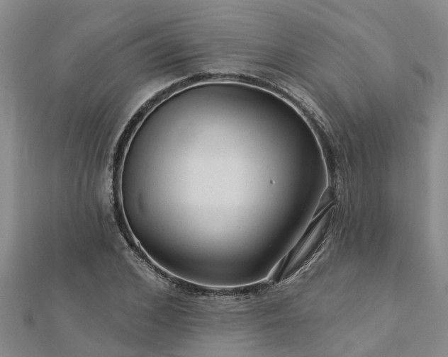 X0000113000976200909031250