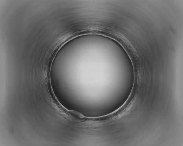 X0000113000977200909031250