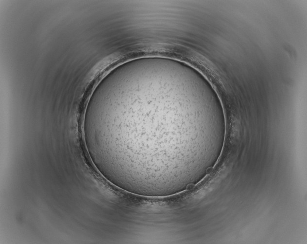 X0000113000978200909031250