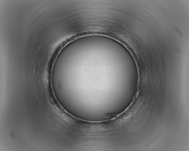 X0000113000979200909031250