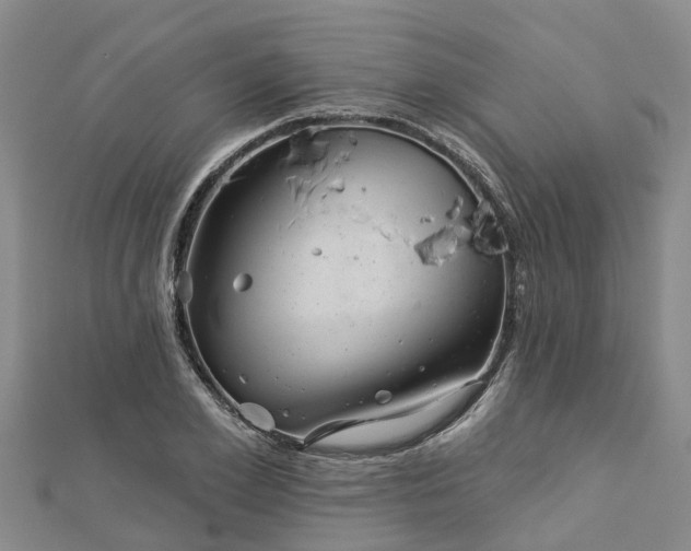 X0000113000981200909031250