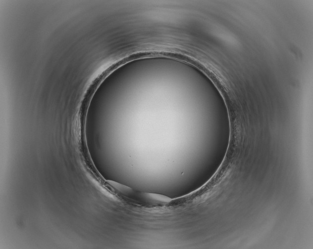 X0000113000982200909031250