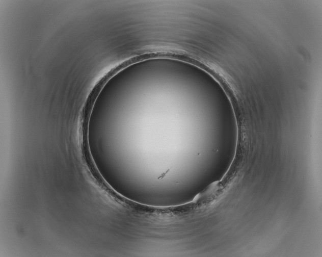 X0000113000983200909031250