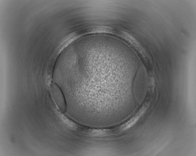 X0000113000985200909031249