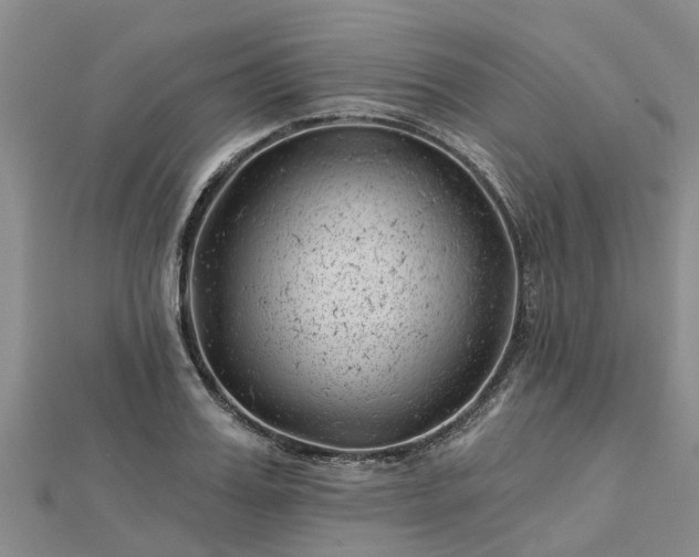 X0000113000987200909031249