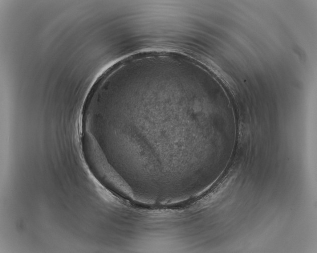 X0000113000988200909031249