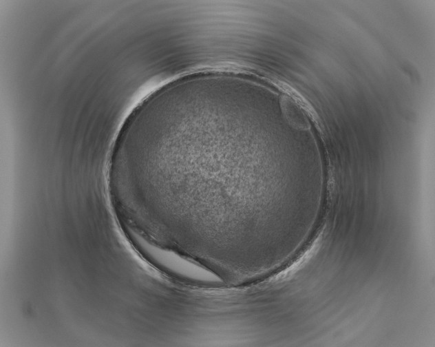 X0000113000989200909031249