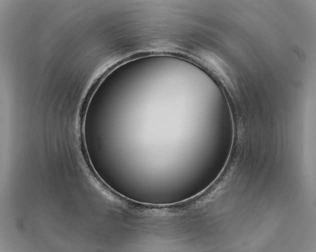 X0000113000990200909031249