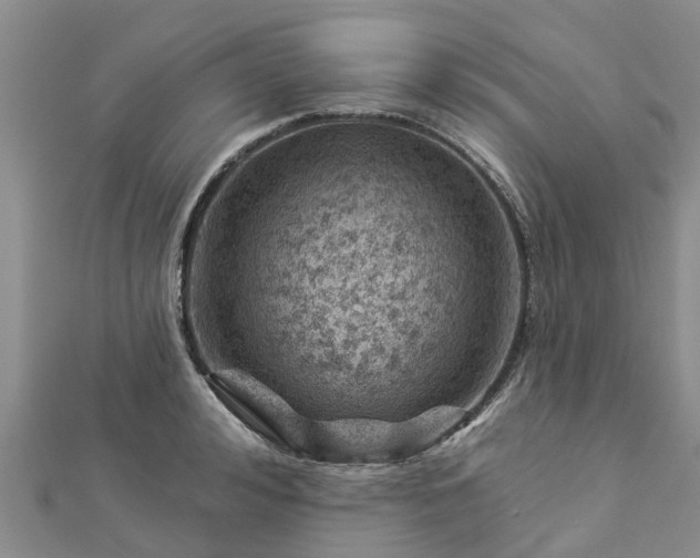 X0000113000992200909031249