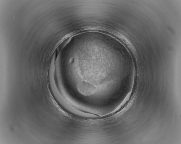 X0000113000993200909031249