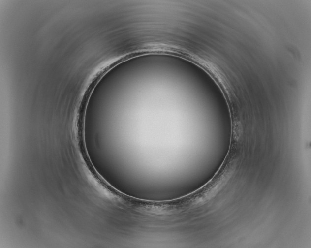 X0000113000995200909031249