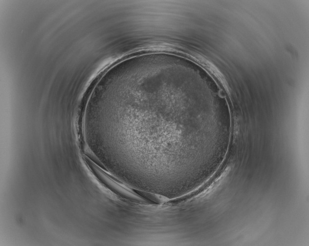 X0000113000997200909031249