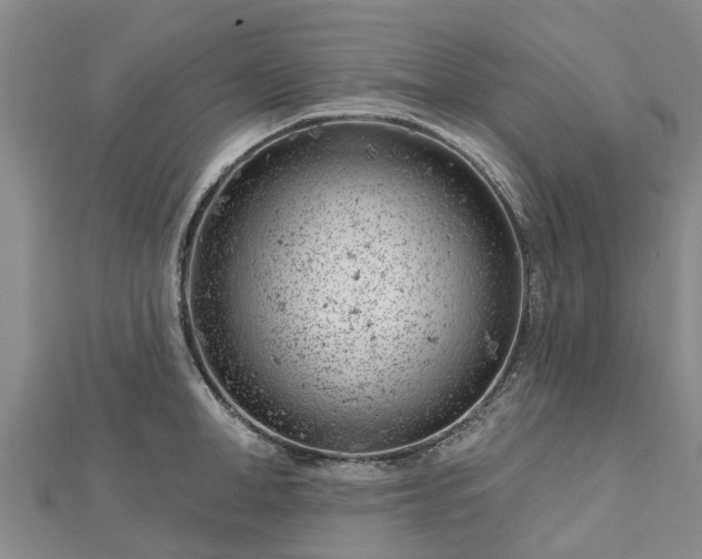 X0000113000998200909031249