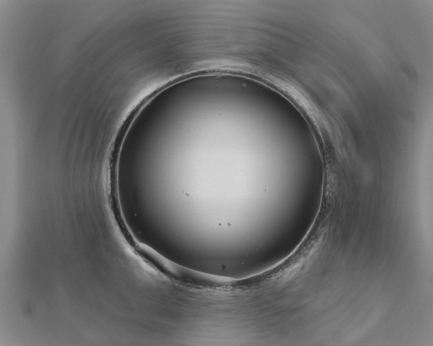 X0000113000999200909031249