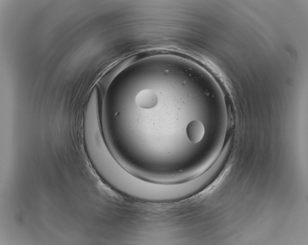 X0000113001001200909031249