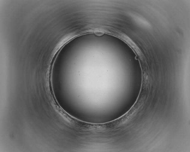 X0000113001002200909031249