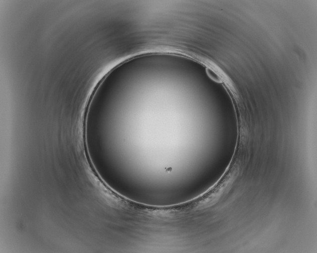 X0000113001004200909031249