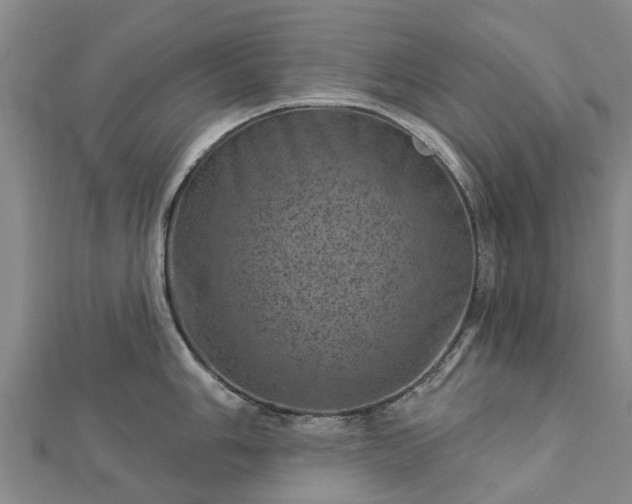 X0000113001006200909031249