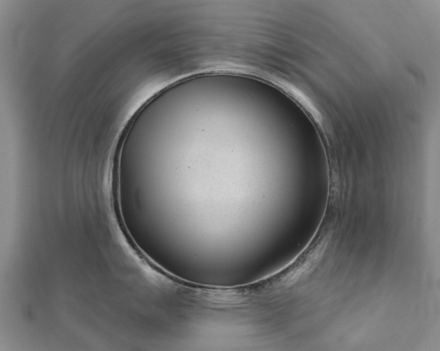 X0000113001007200909031249