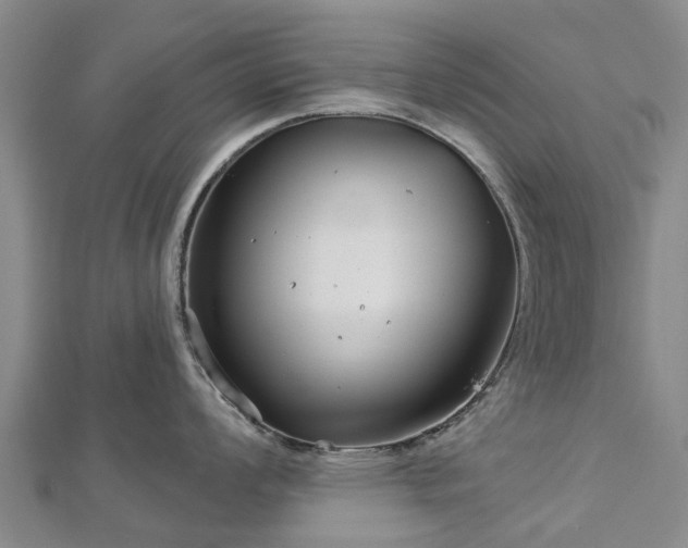 X0000113001008200909031249