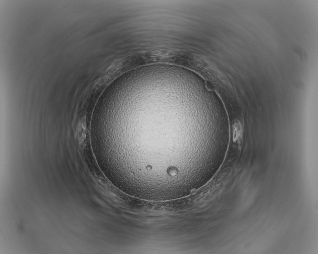 X0000113001011200909031248