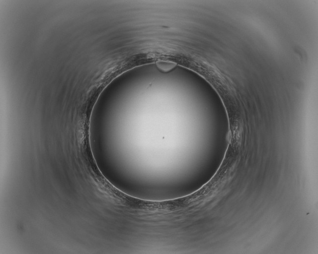 X0000113001012200909031248