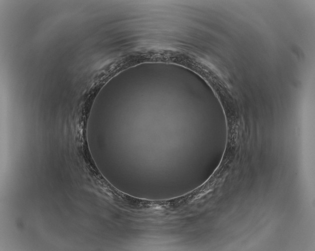 X0000113001013200909031248