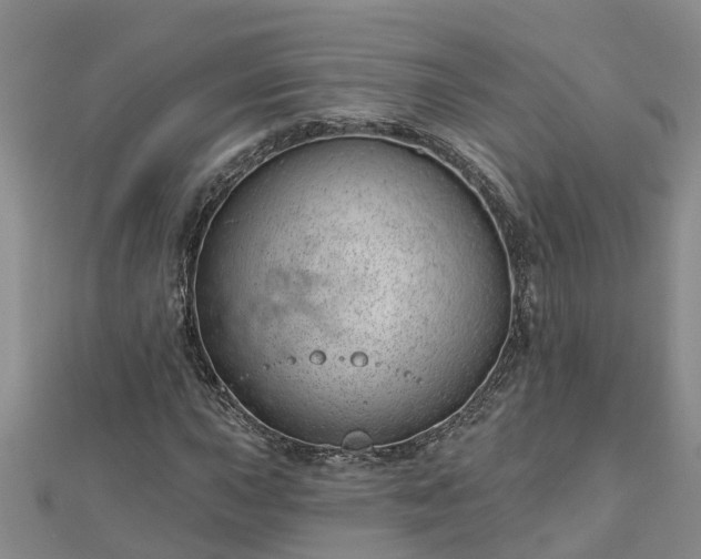 X0000113001015200909031248