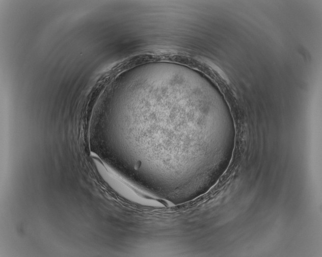 X0000113001016200909031248