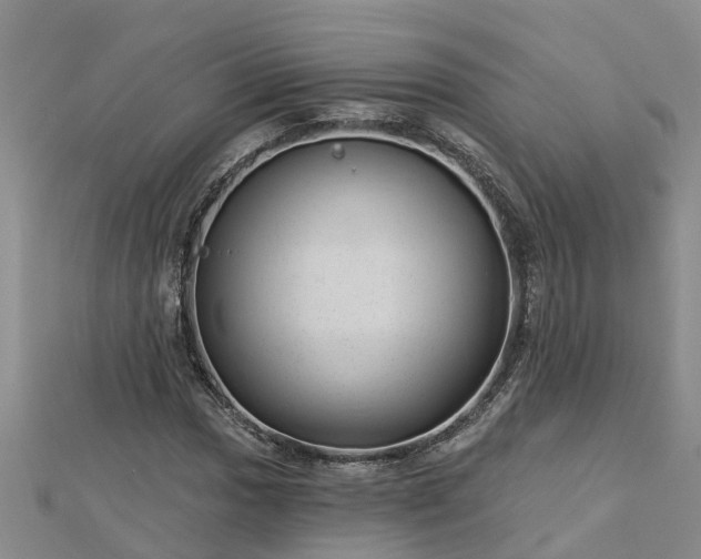 X0000113001017200909031249