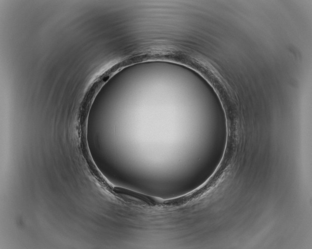 X0000113001018200909031249