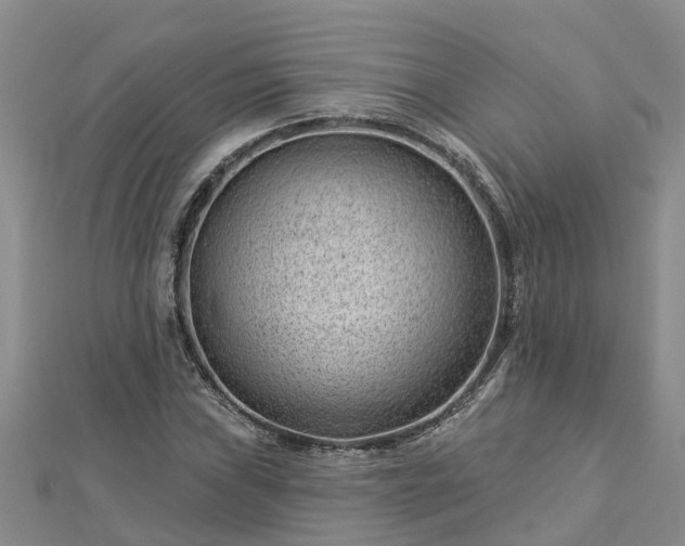 X0000113001019200909031249