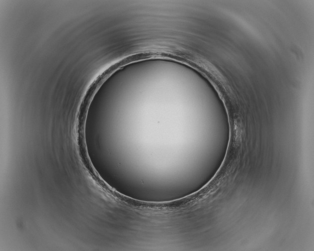 X0000113001020200909031249