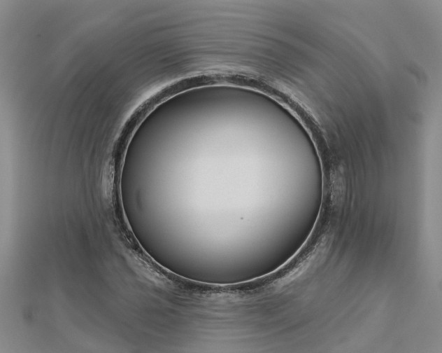 X0000113001021200909031249