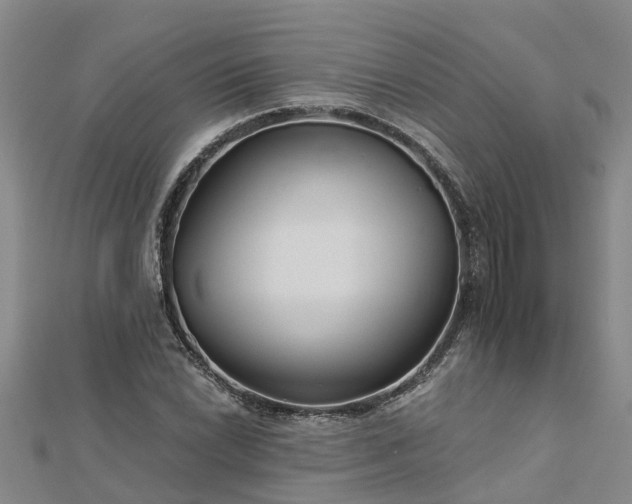 X0000113001022200909031249