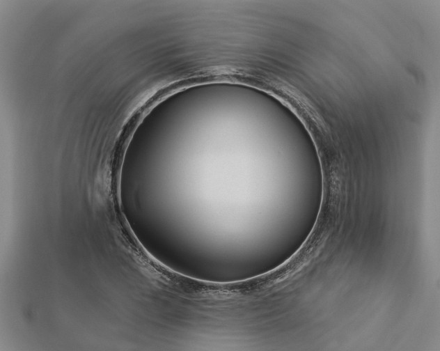 X0000113001023200909031249