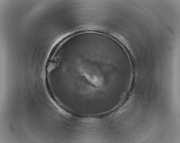 X0000113001024200909031249