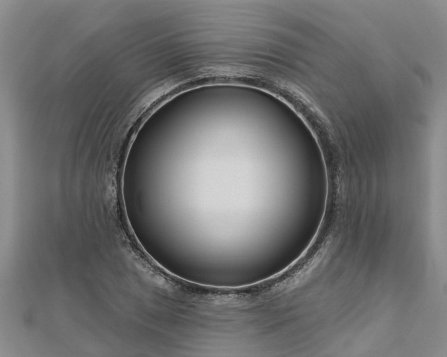 X0000113001025200909031249