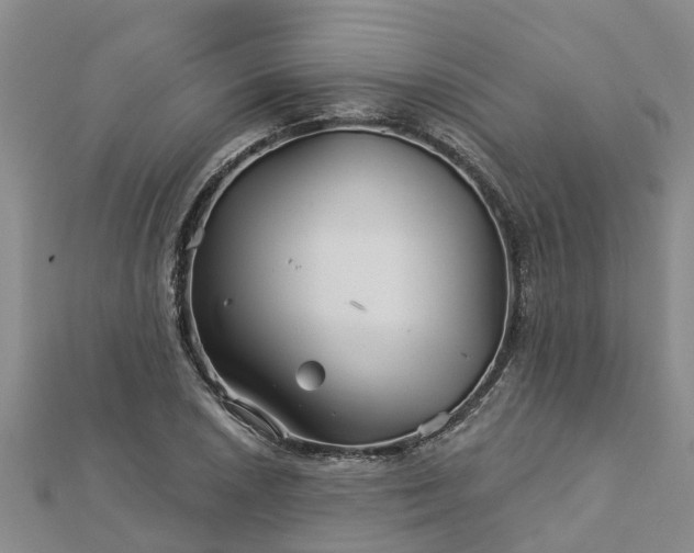 X0000113001026200909031249